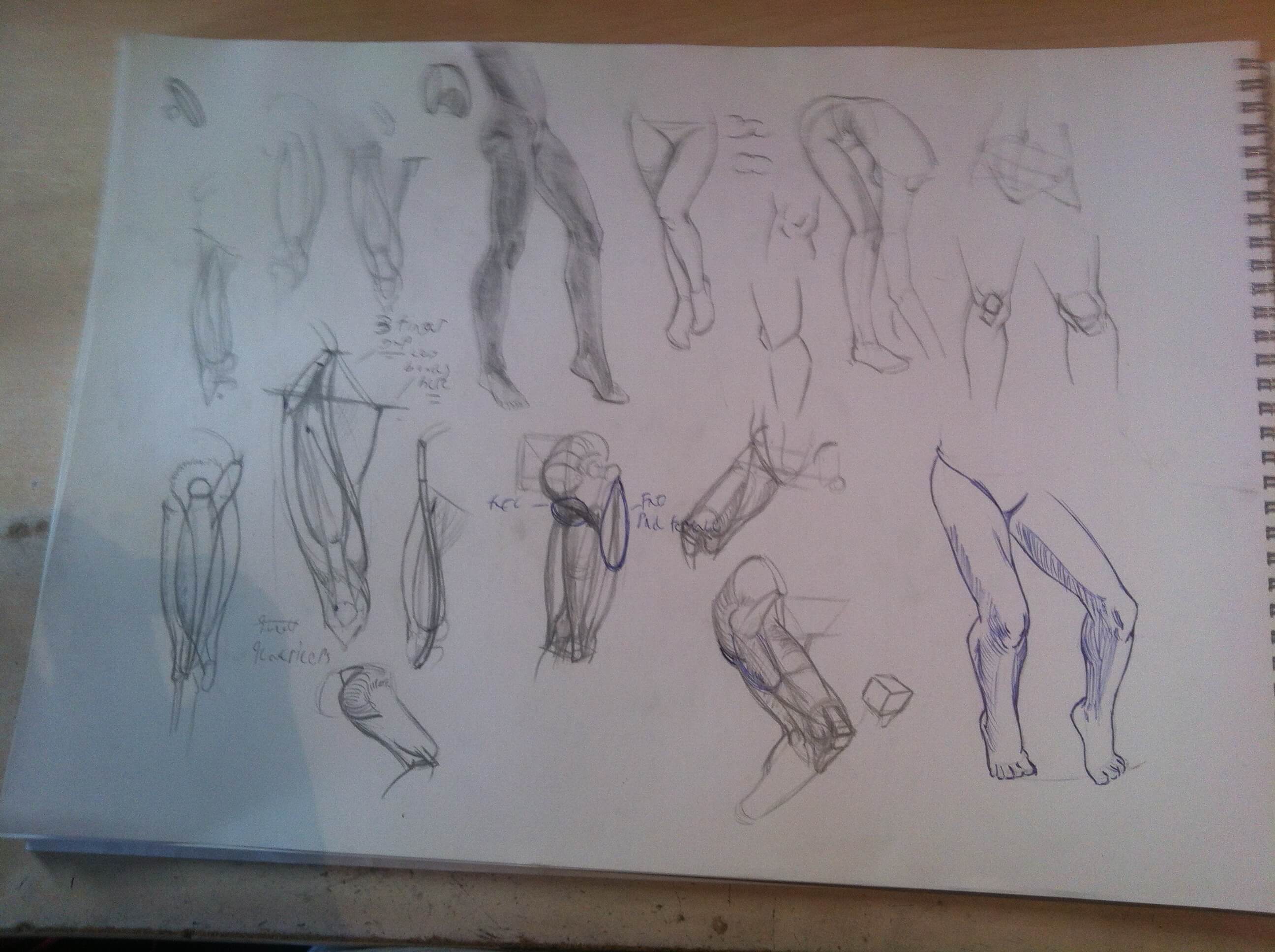 Filename: legs (2).JPG
Size: 337.5 KB08-07-2017, 09:23 AM